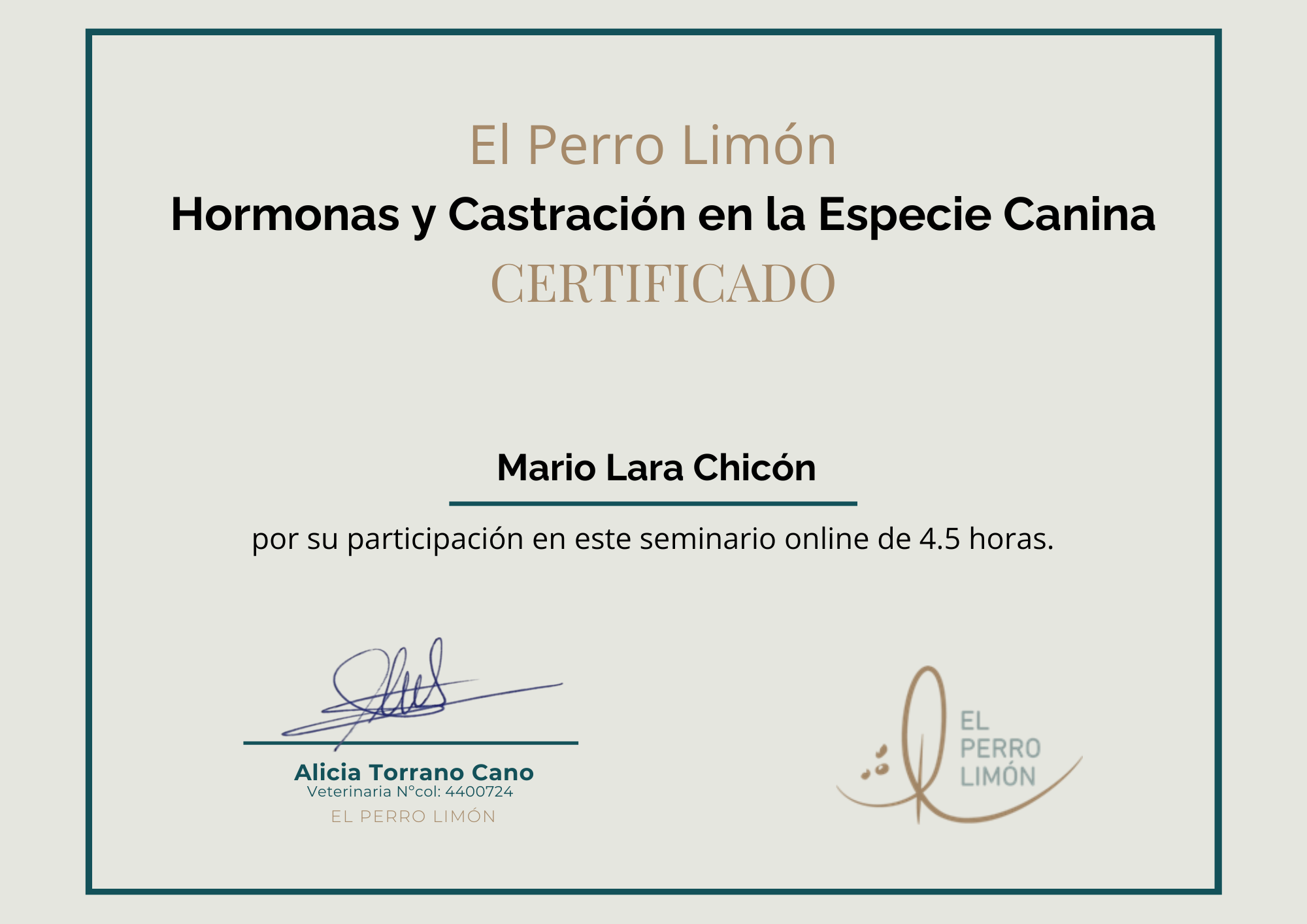 CERTIFICADO Mario Lara Chicón.pdf