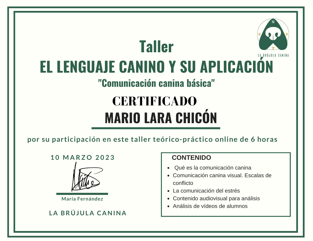 Certificado asistencia
