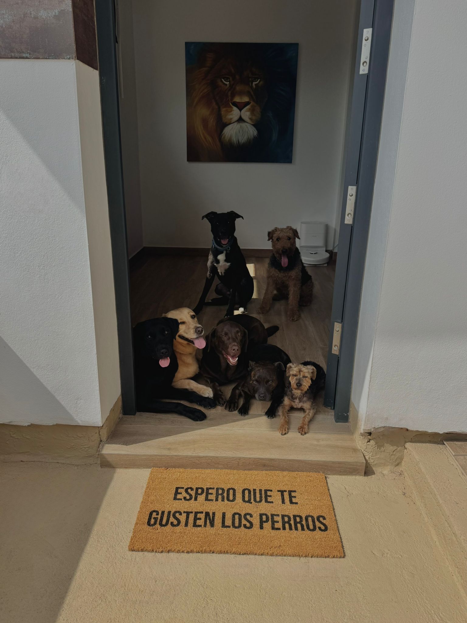 Espero que te gusten los perros