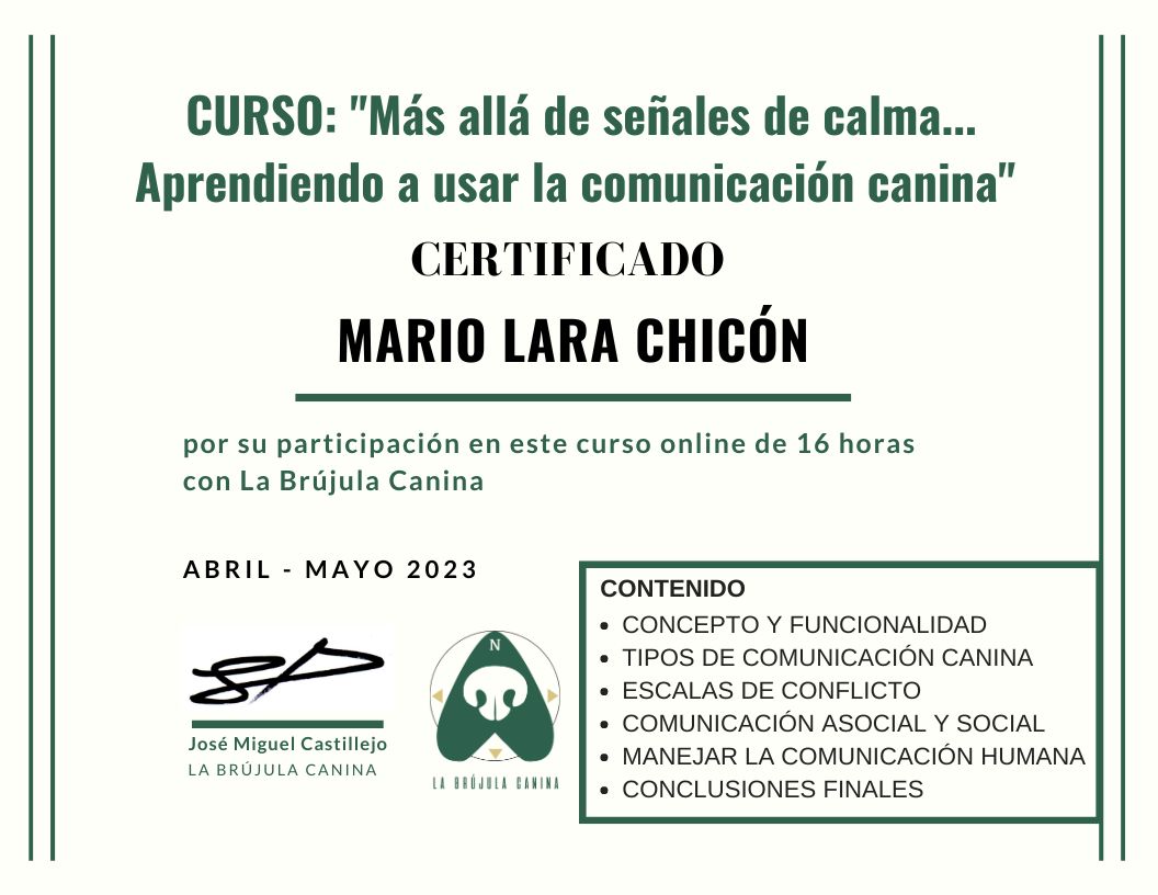 certificado_curso_comunicacion_LBC_online_VIed_Mario_Lara