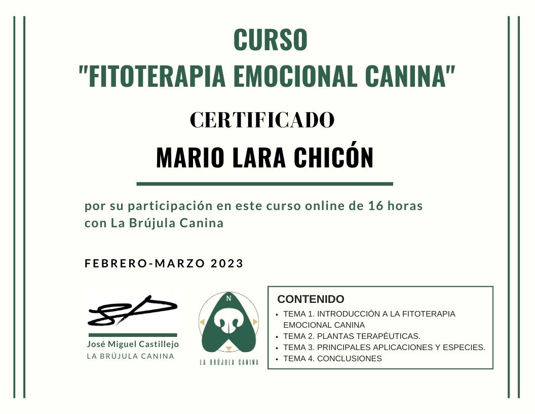 certificado_curso_fitoterapia_emocional_LBC_online_Ied_Mario_Lara