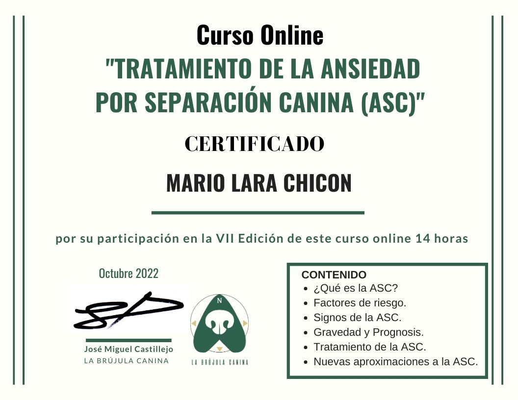 certificado_curso_online_ASC_LBC_VIIed_Mario_Lara