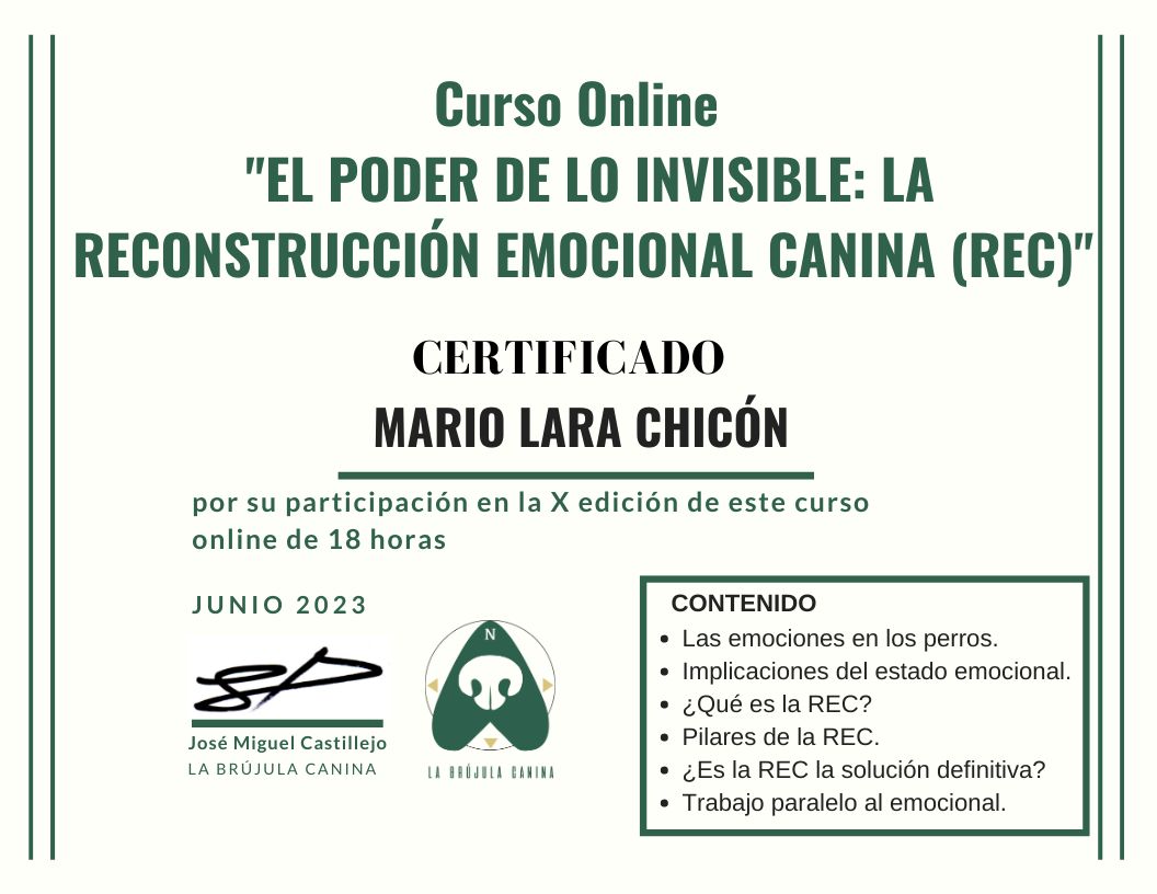 certificado_curso_online_REC_LBC_Xed_Mario_Lara