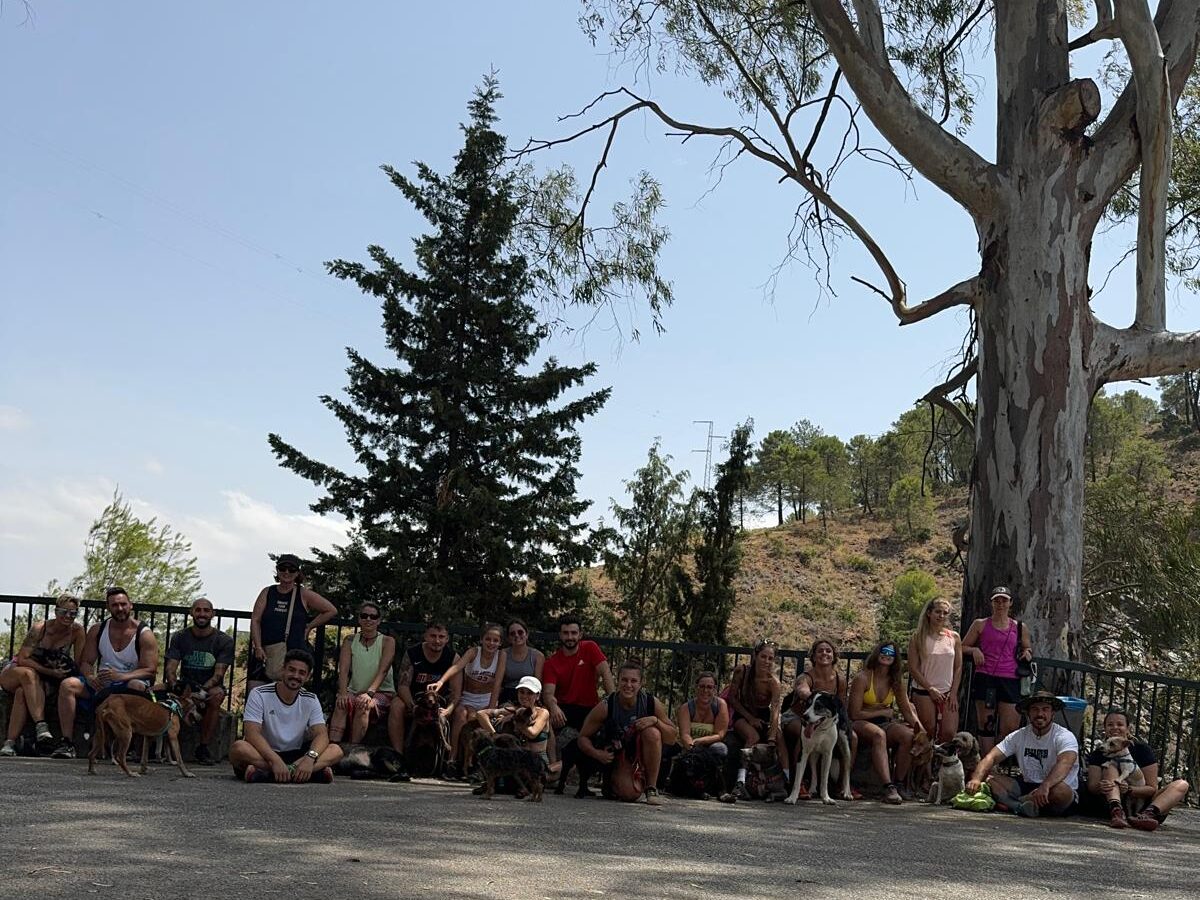 ruta tolox